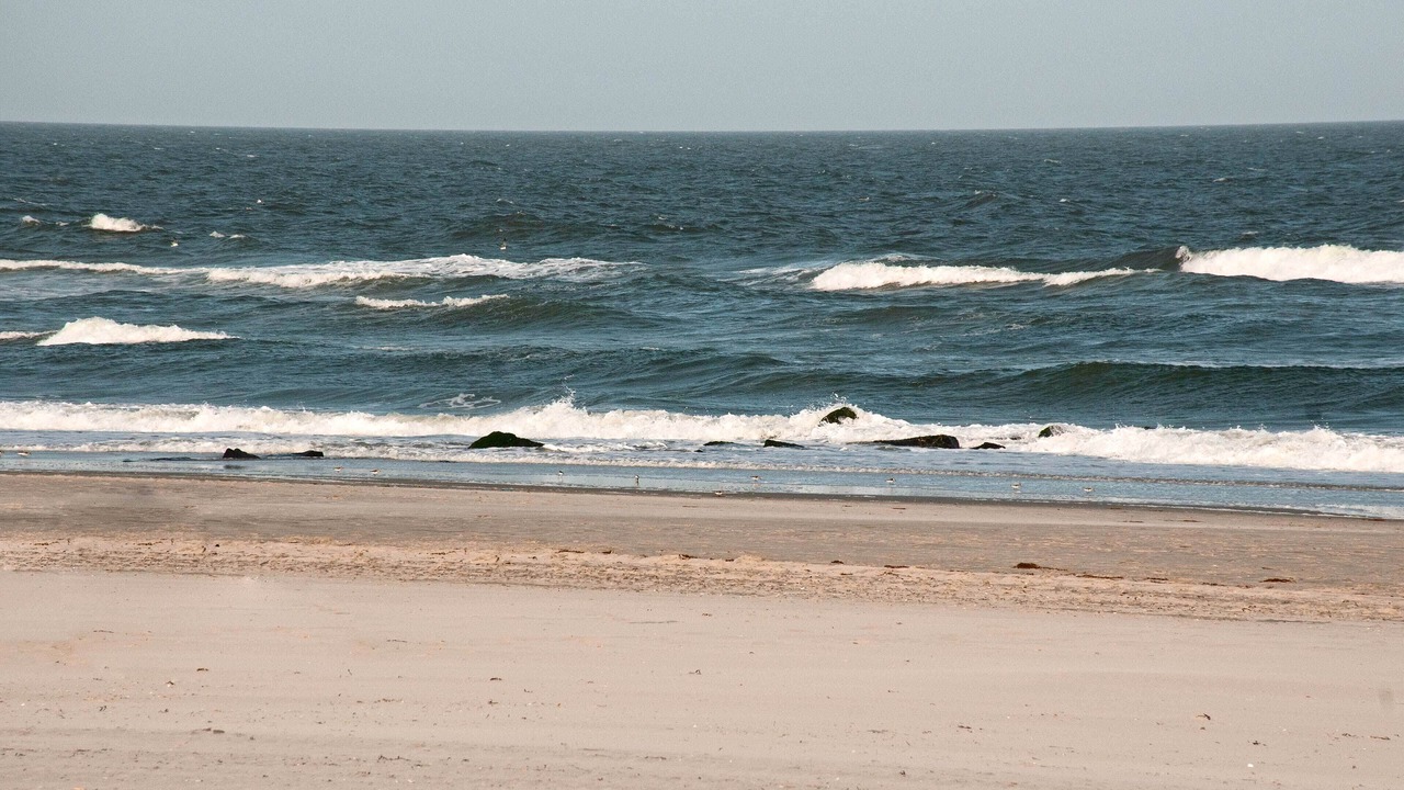 Photo of Others in Brigantine
