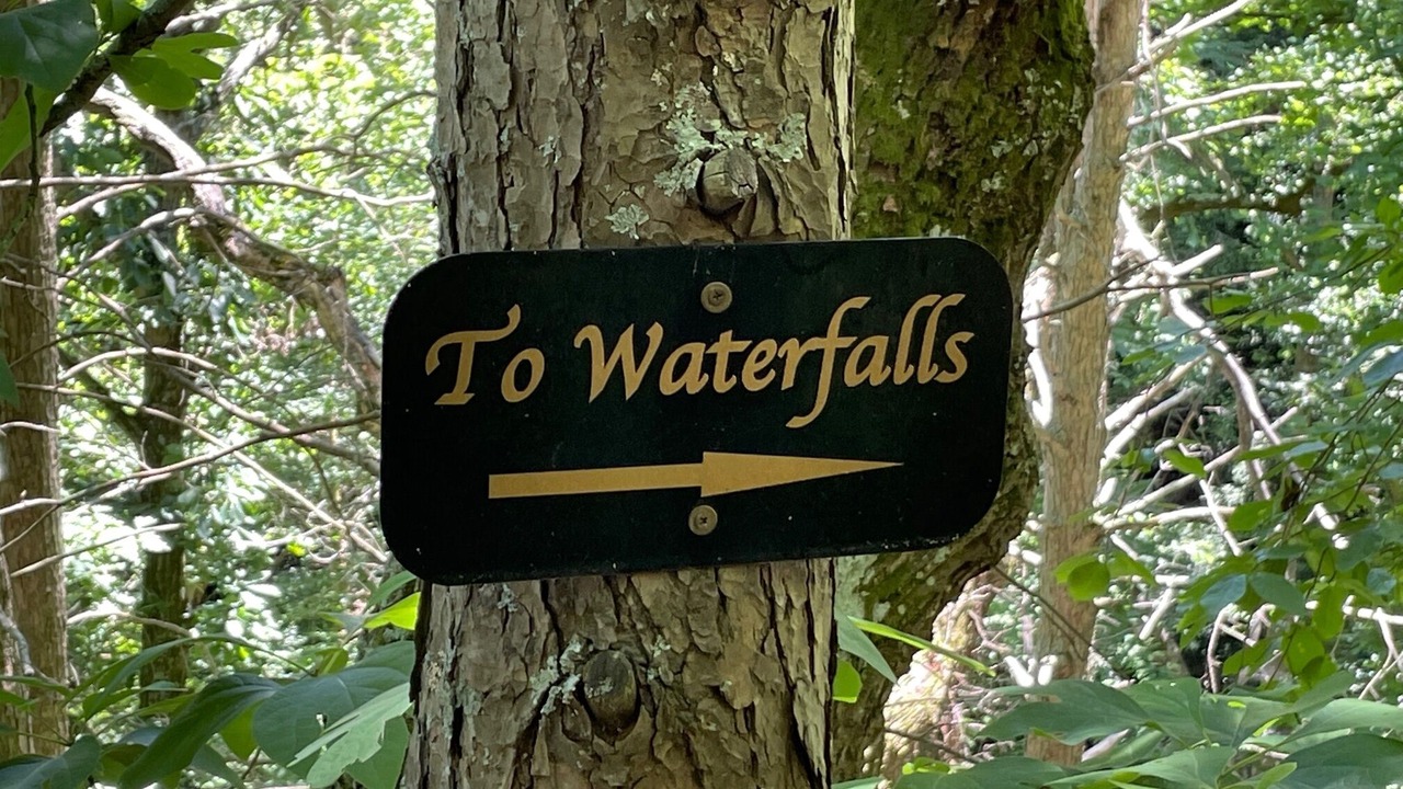 Photo of Outdoor in South Fork