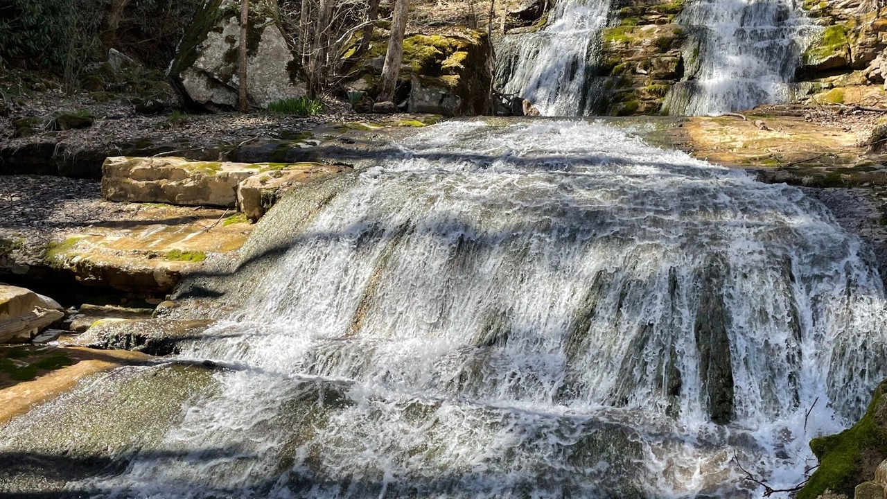 Photo of Others in South Fork