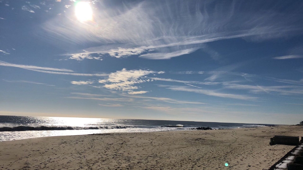 Photo of Others in Long Branch