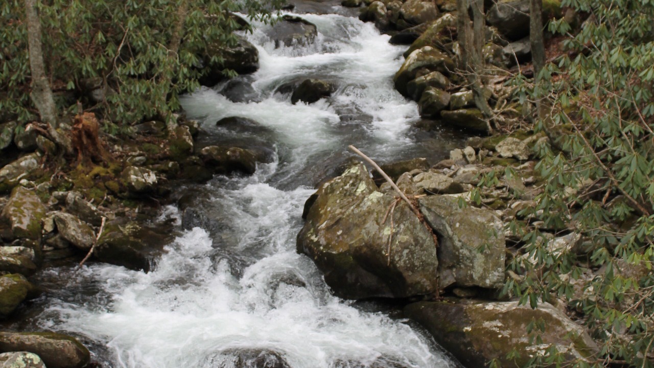 Photo of Others in Gatlinburg