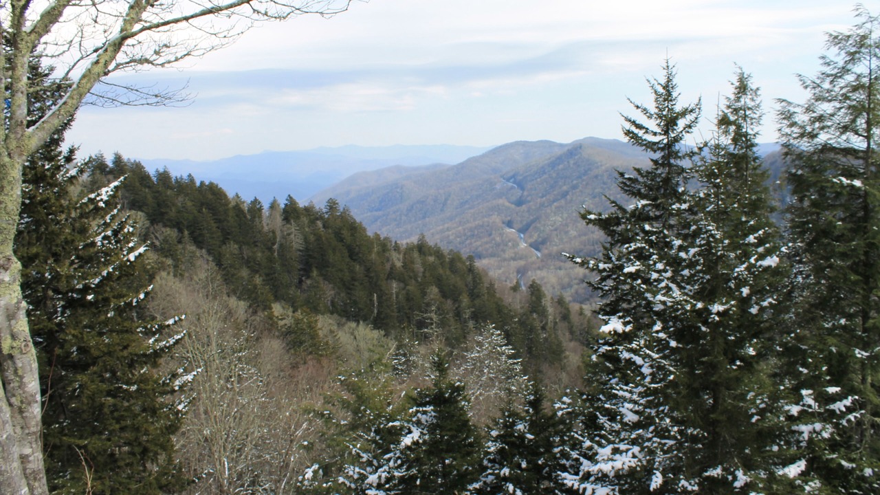 Photo of Others in Gatlinburg