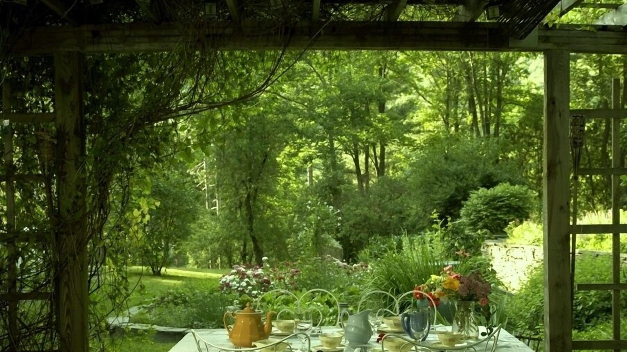 Photo of Outdoor in East Branch