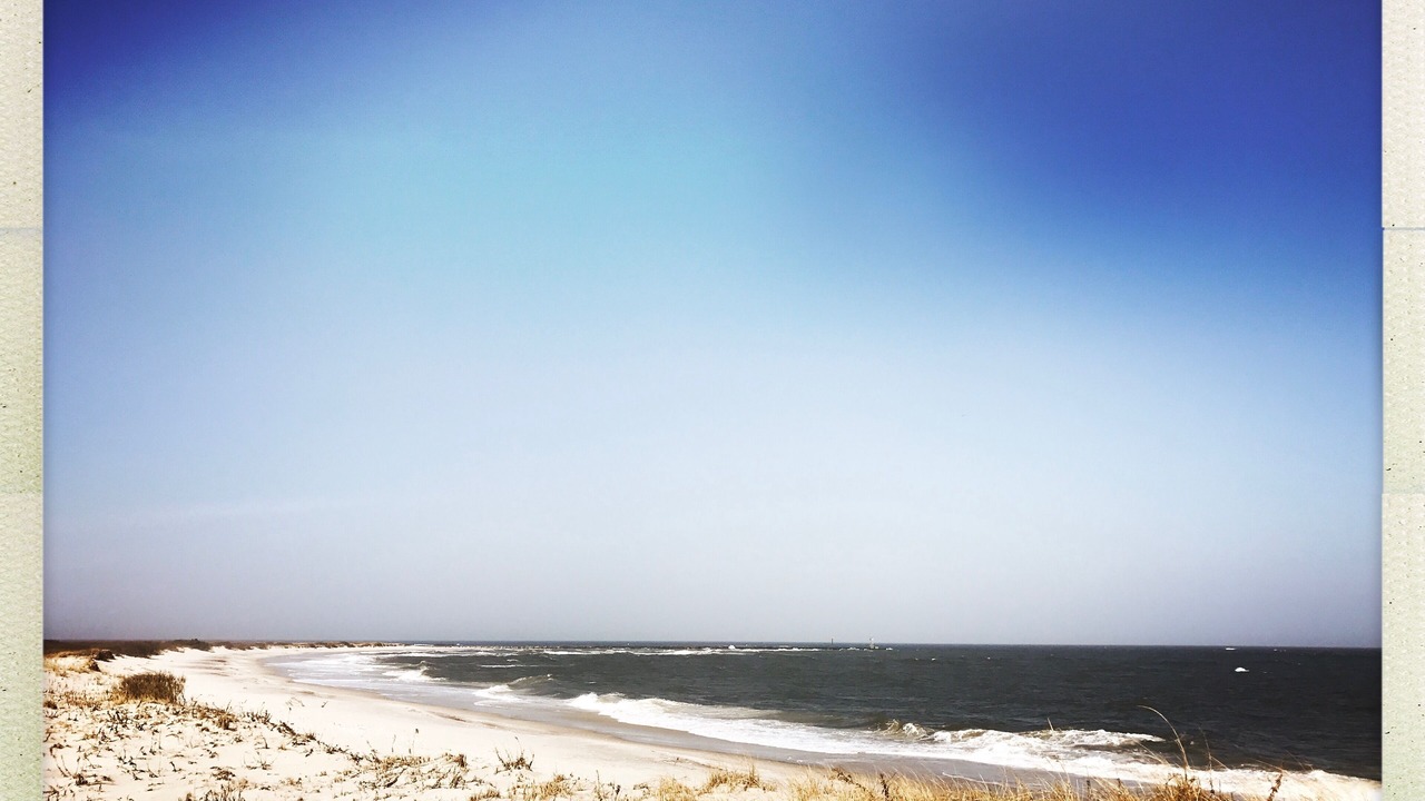 Photo of Others in Barnegat Light