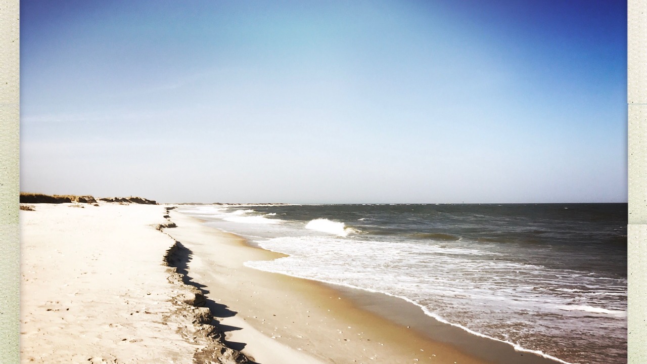 Photo of Others in Barnegat Light