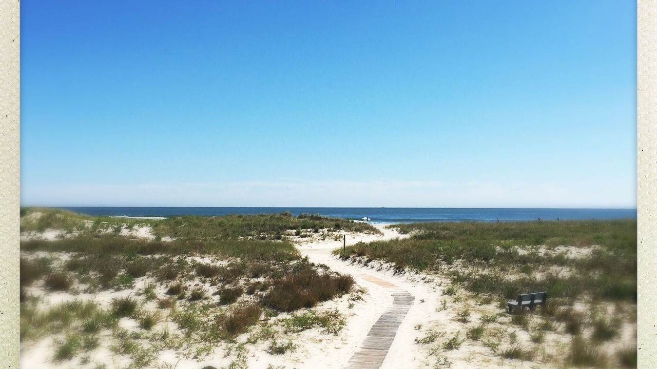 Photo of Others in Barnegat Light