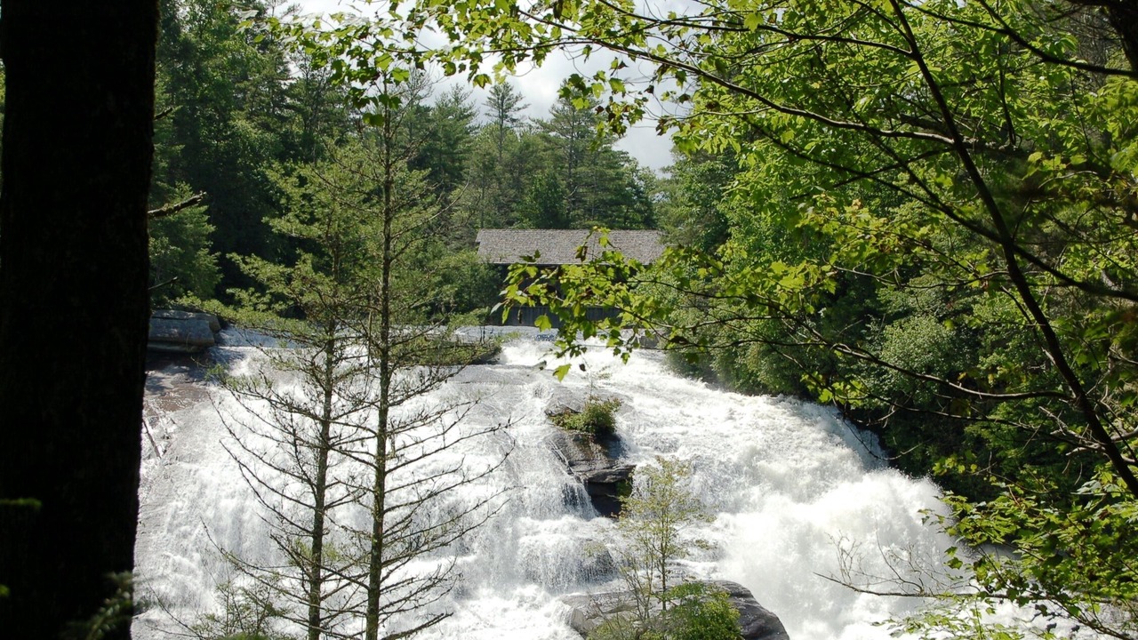 Photo of Others in Cedar Mountain