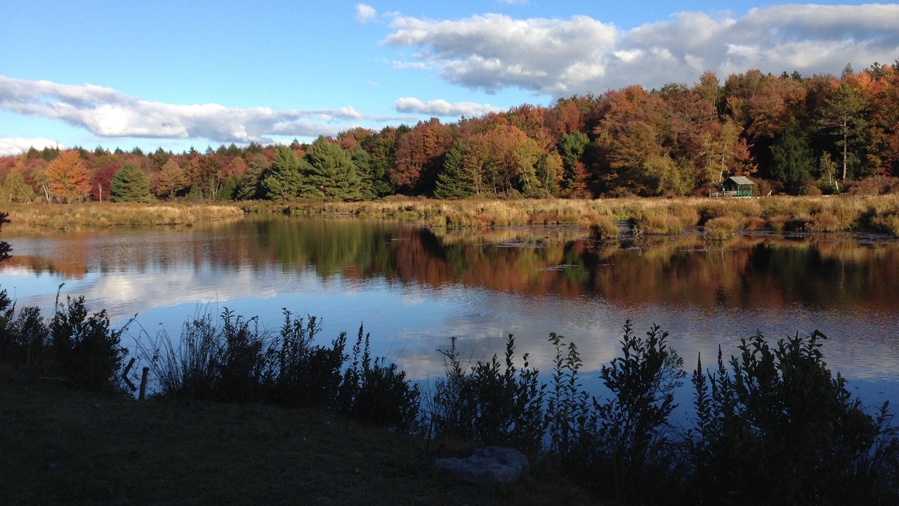 Photo of Others in Tobyhanna