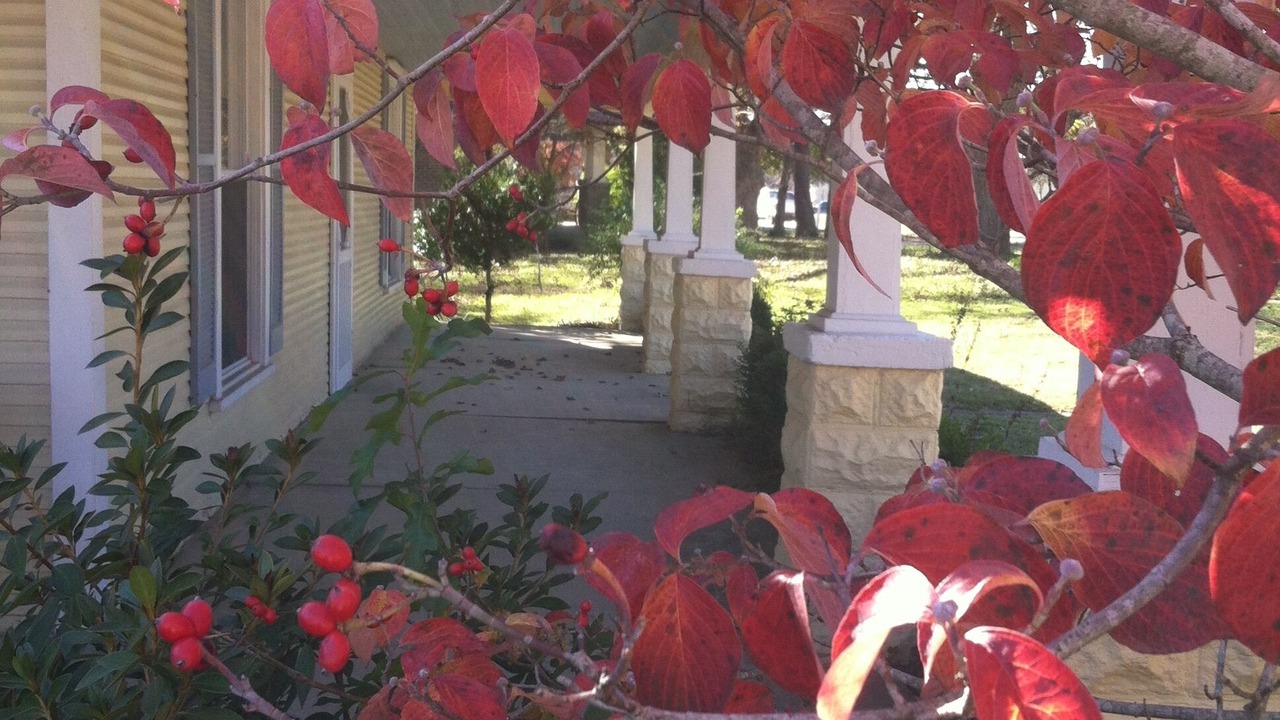 Photo of Outdoor in Washington