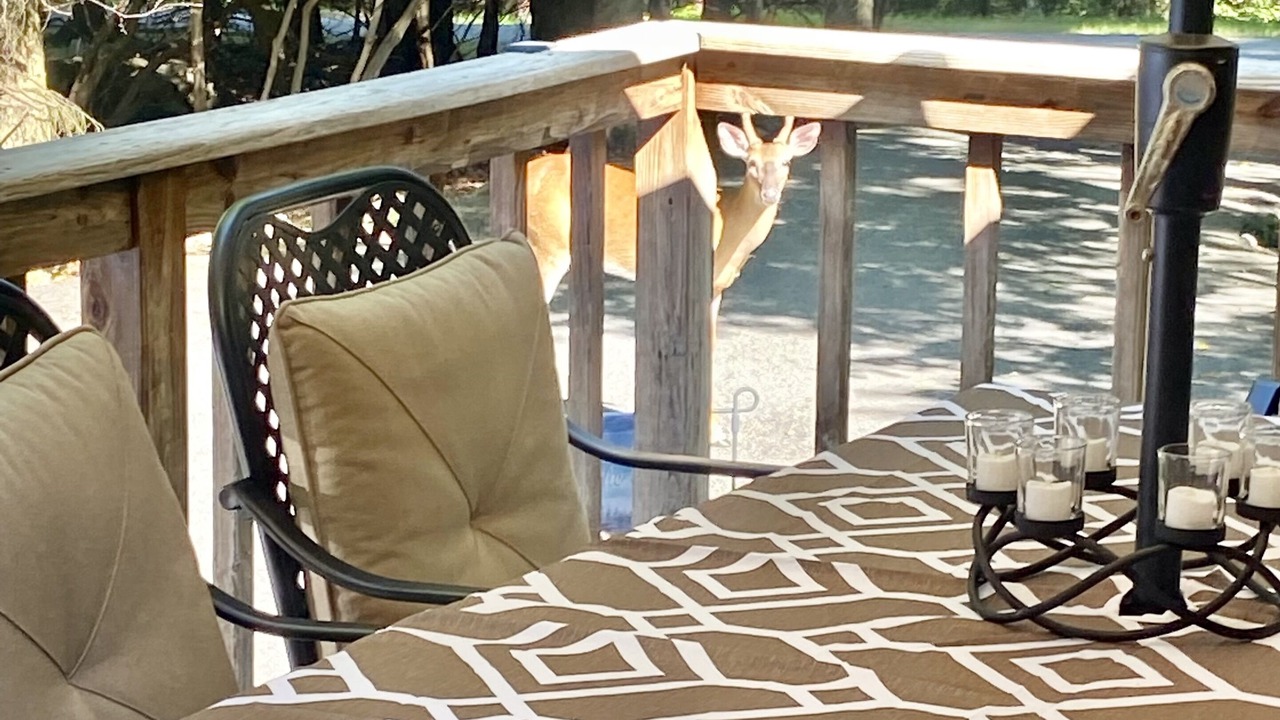 Photo of Others in Lake Harmony Estates