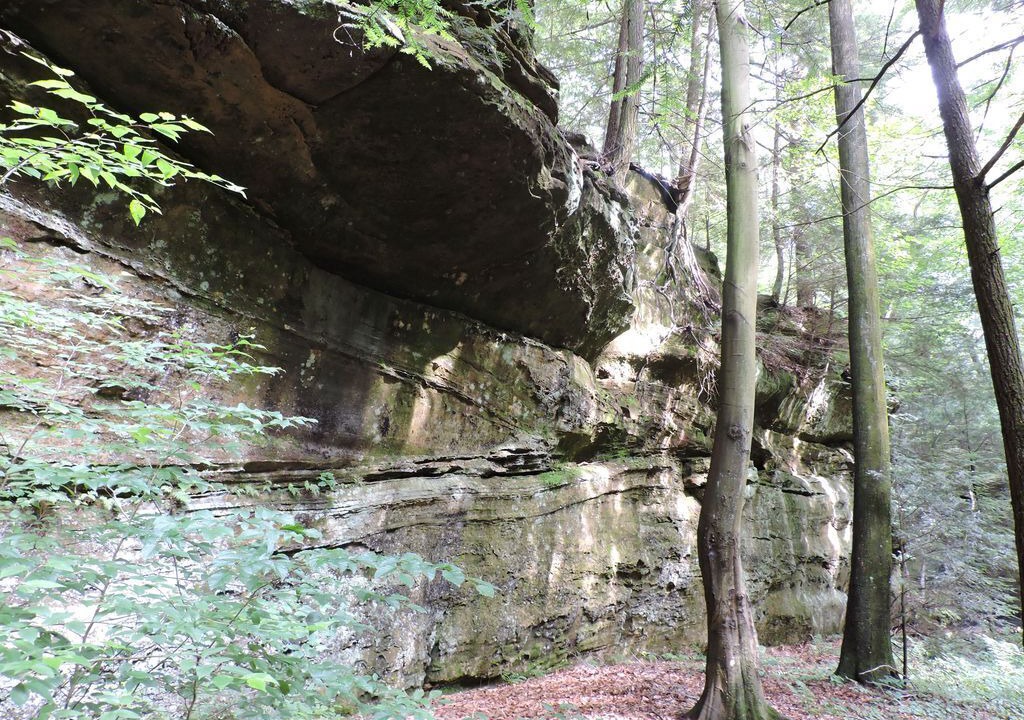 Photo of Outdoor in Sugar Grove