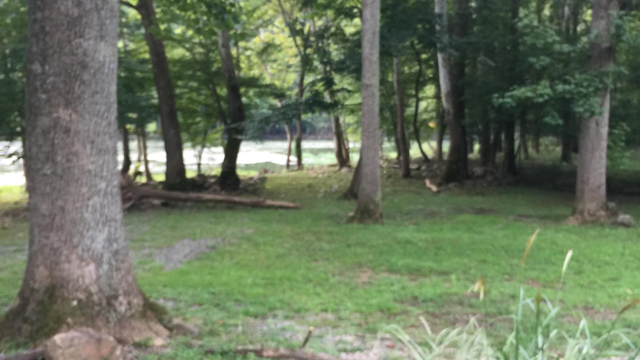Photo of Outdoor in Meadow Bridge