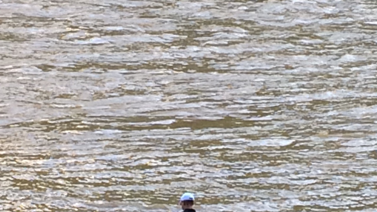 Photo of Others in Meadow Bridge