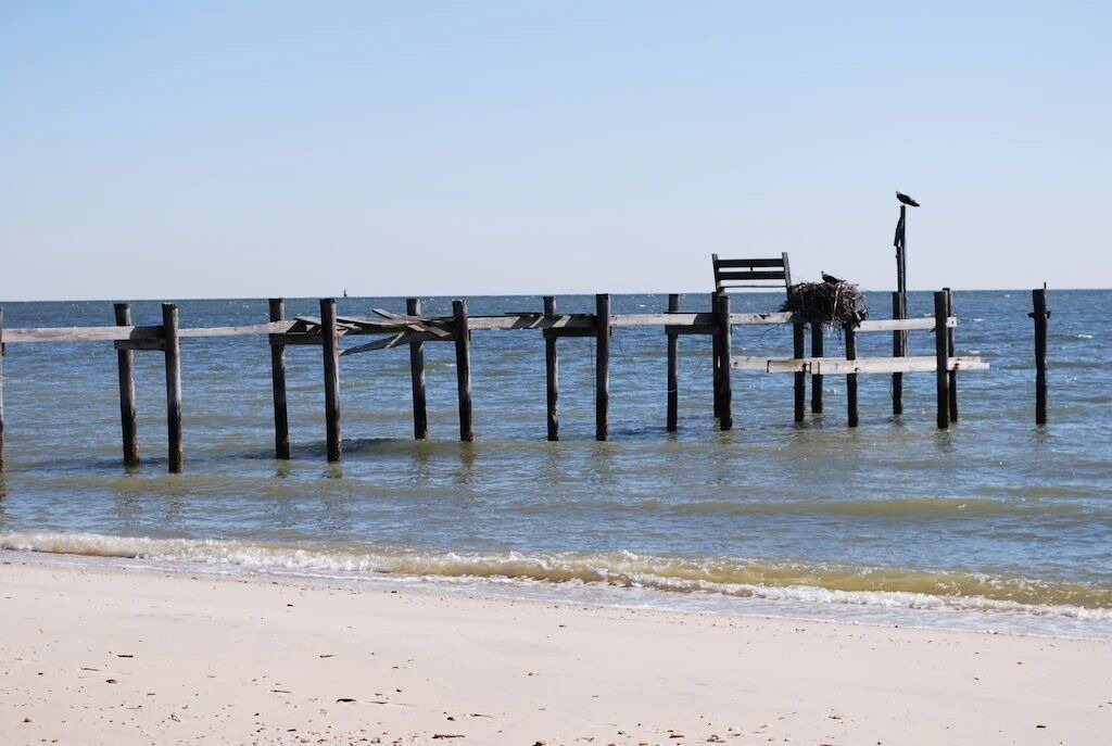 Photo of Others in Point Lookout