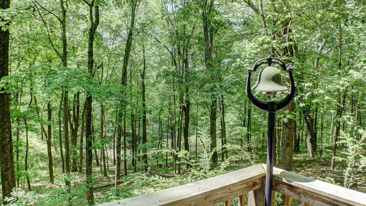 Photo of Others in Rockbridge