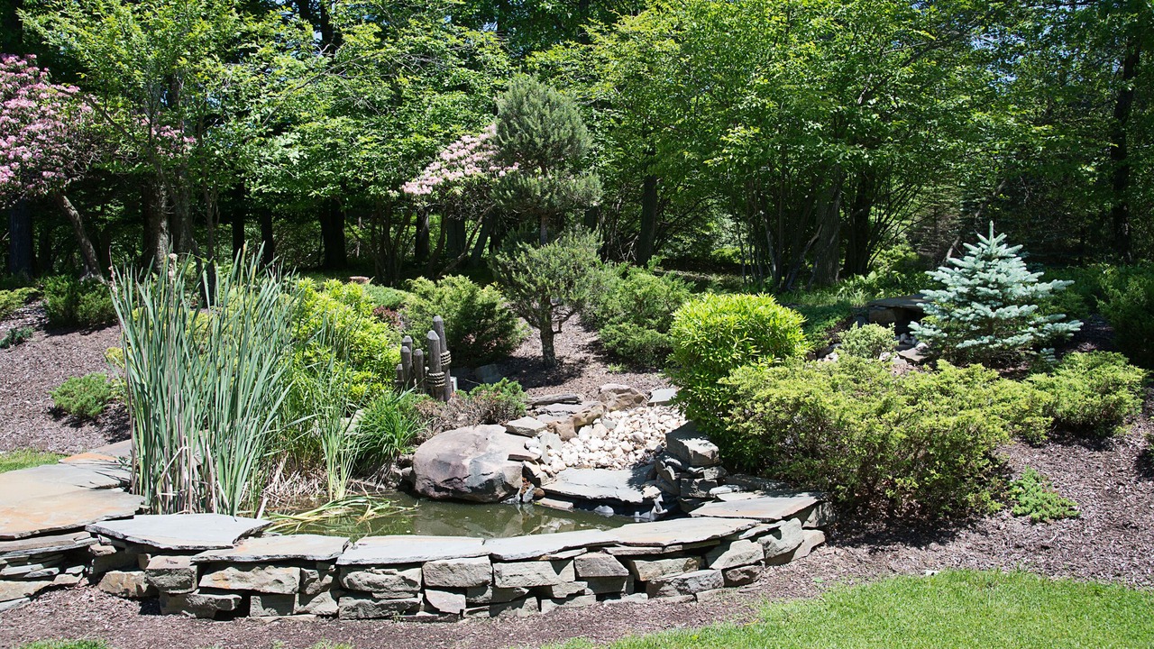 Photo of Outdoor in Long Pond
