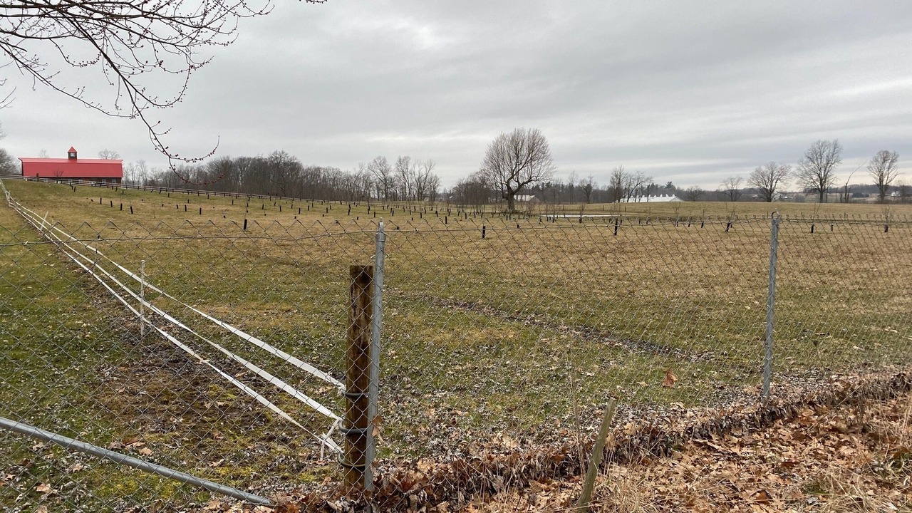 Photo of Outdoor in New Wilmington