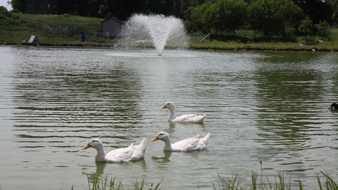Photo of Outdoor in New Wilmington