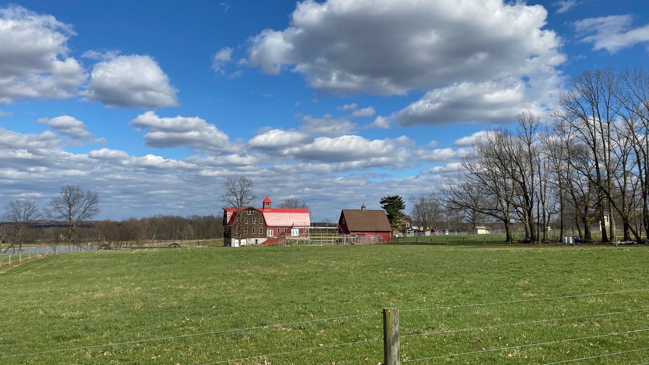 Photo of Others in New Wilmington