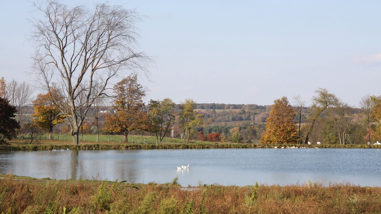 Photo of Others in New Wilmington