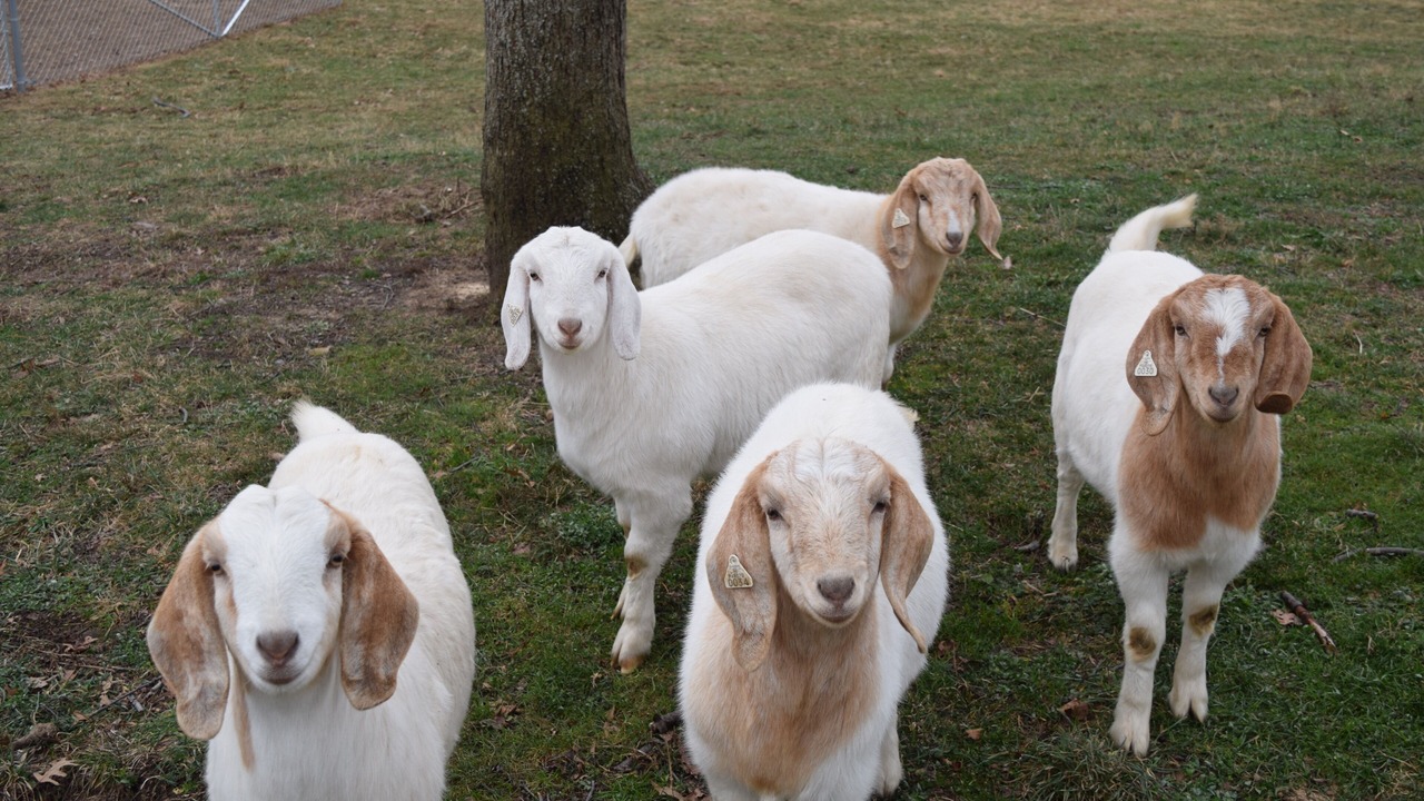 Photo of Outdoor in New Wilmington
