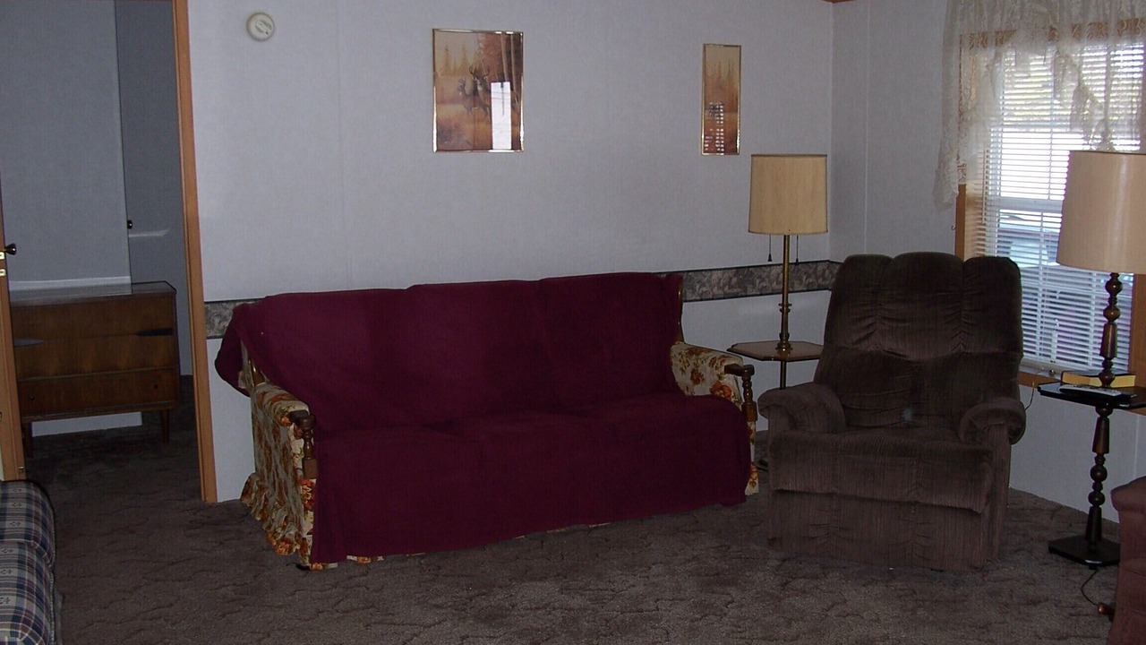 Photo of Livingroom in Snydertown