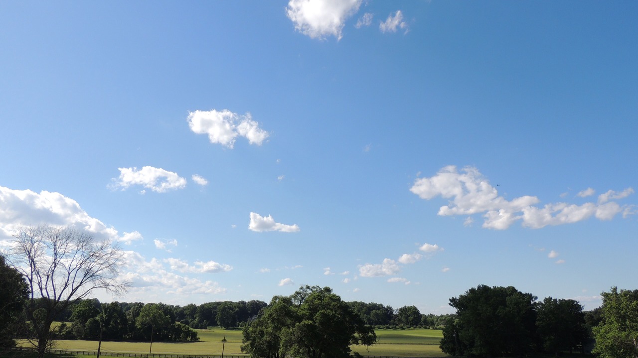 Photo of Outdoor in Crownsville