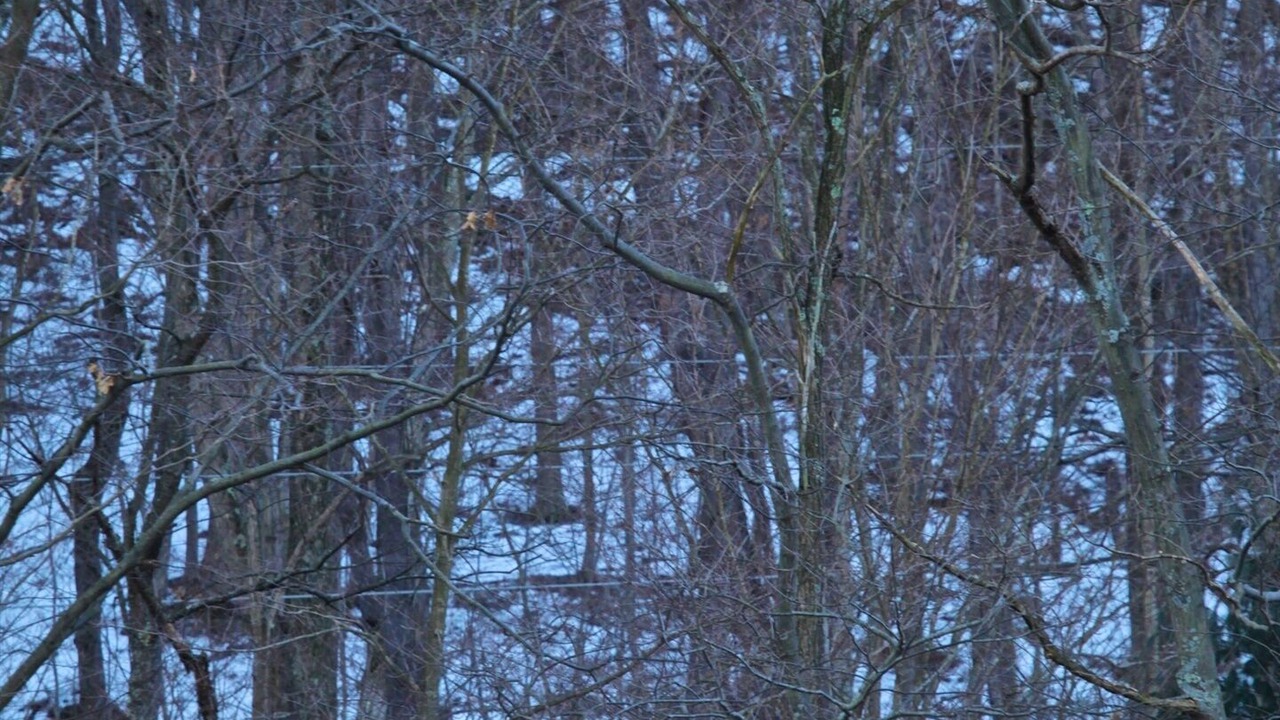 Photo of Others in Confluence