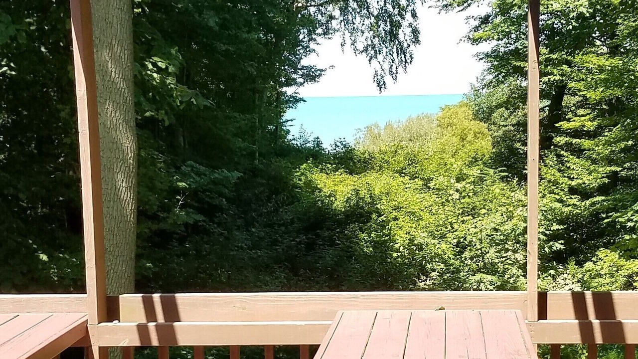 Photo of Outdoor in East Springfield
