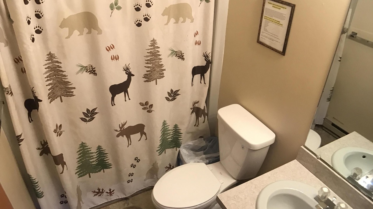 Photo of Bathroom in Bushkill