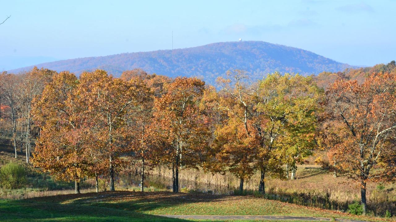 Photo of Outdoor in Ozone