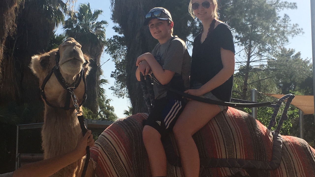 Photo of Others in Scottsdale Ranch