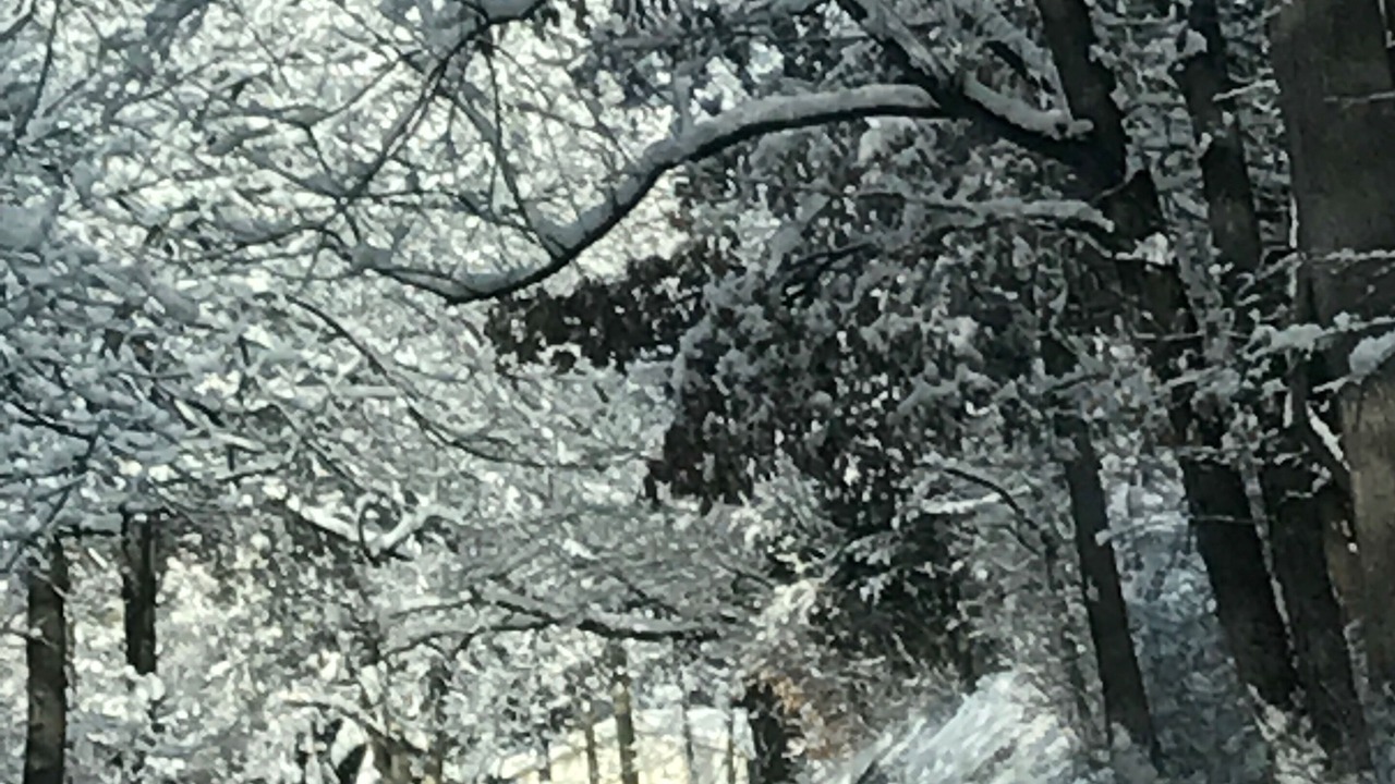 Photo of Outdoor in Saylorsburg