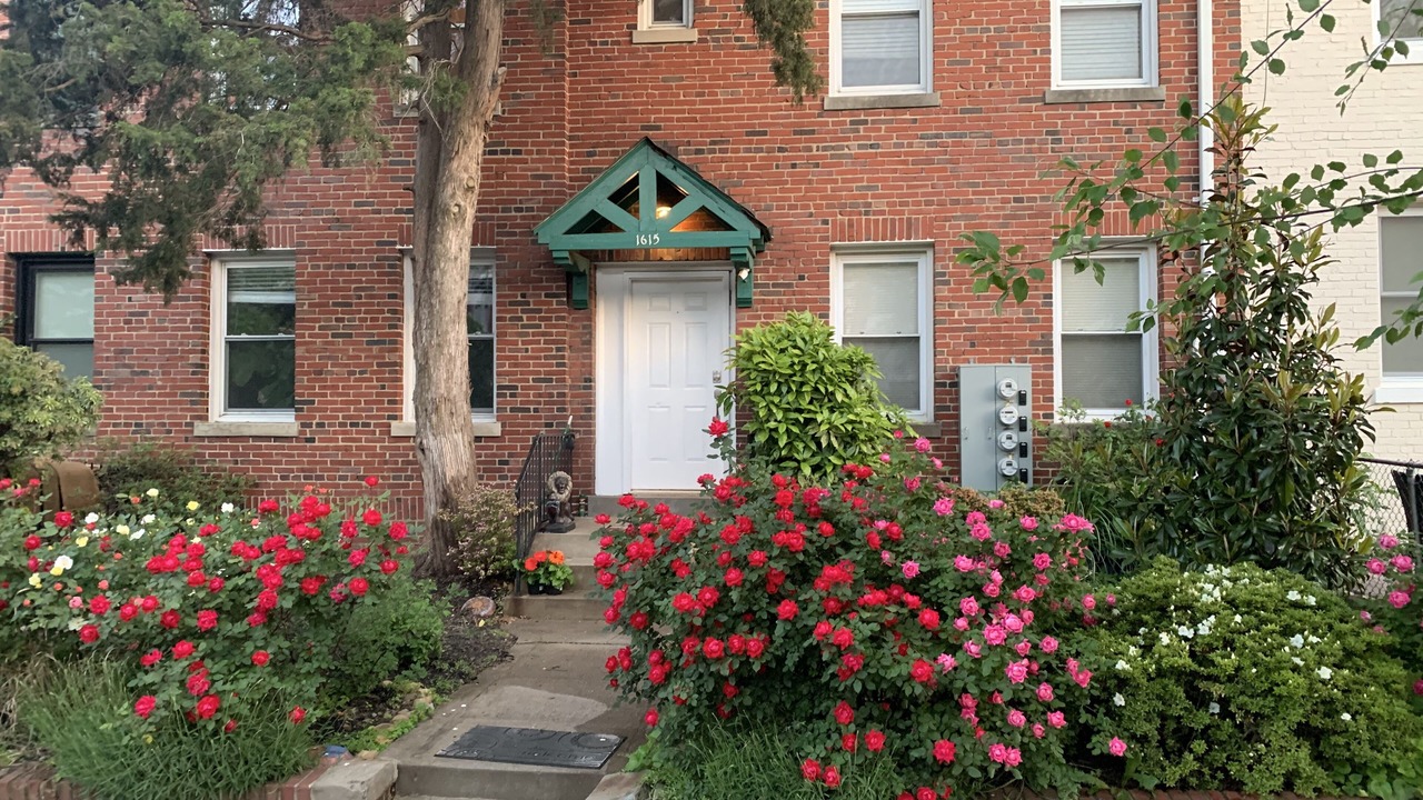Photo of Outdoor in Kingman Park