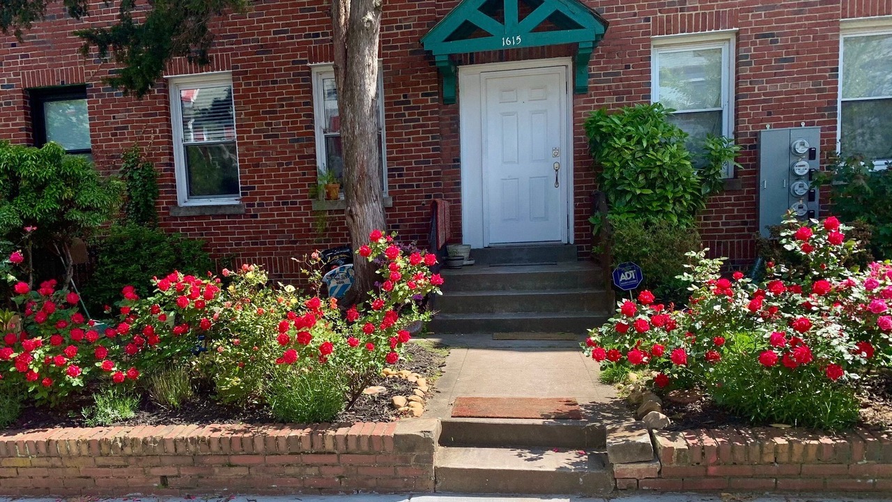 Photo of Outdoor in Kingman Park