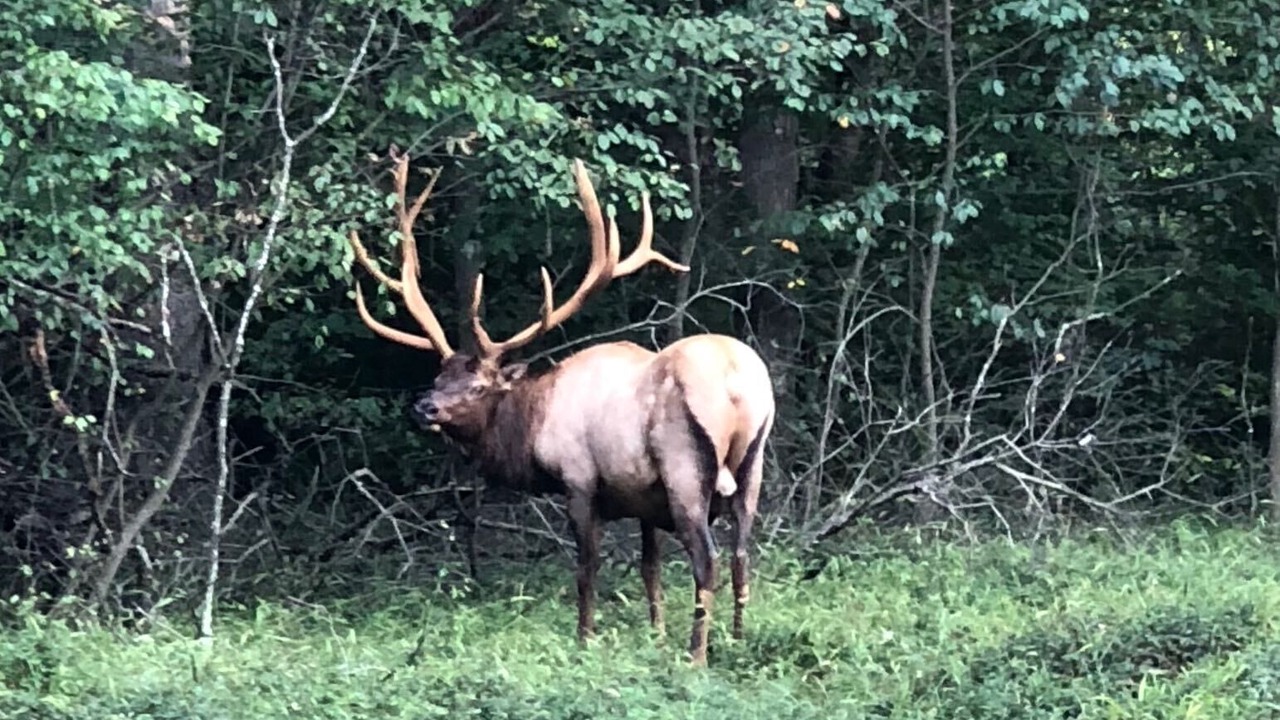 Photo of Outdoor in Treasure Lake