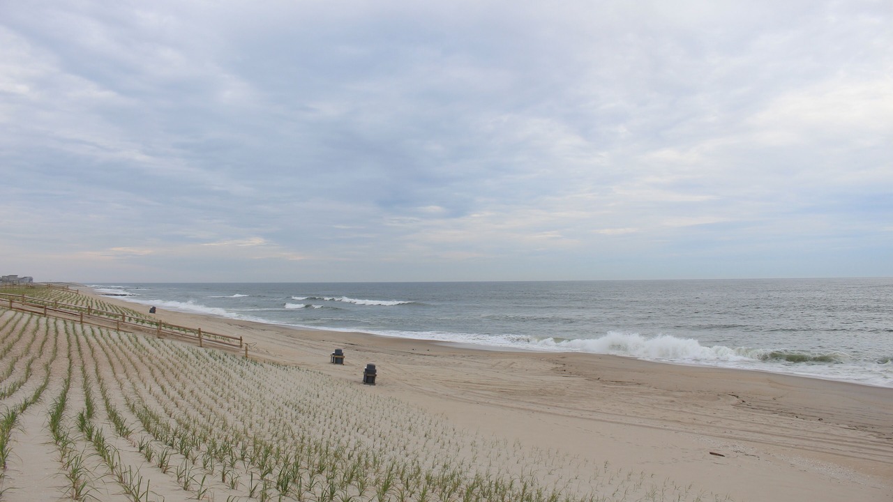 Photo of Others in South Beach Haven