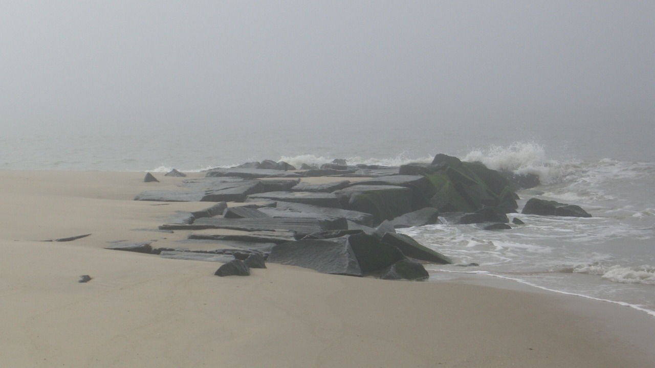 Photo of Others in Cape May Point