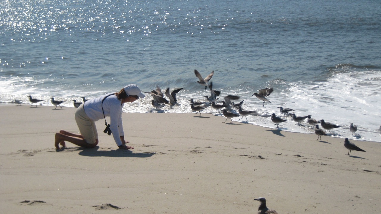 Photo of Others in Cape May Point