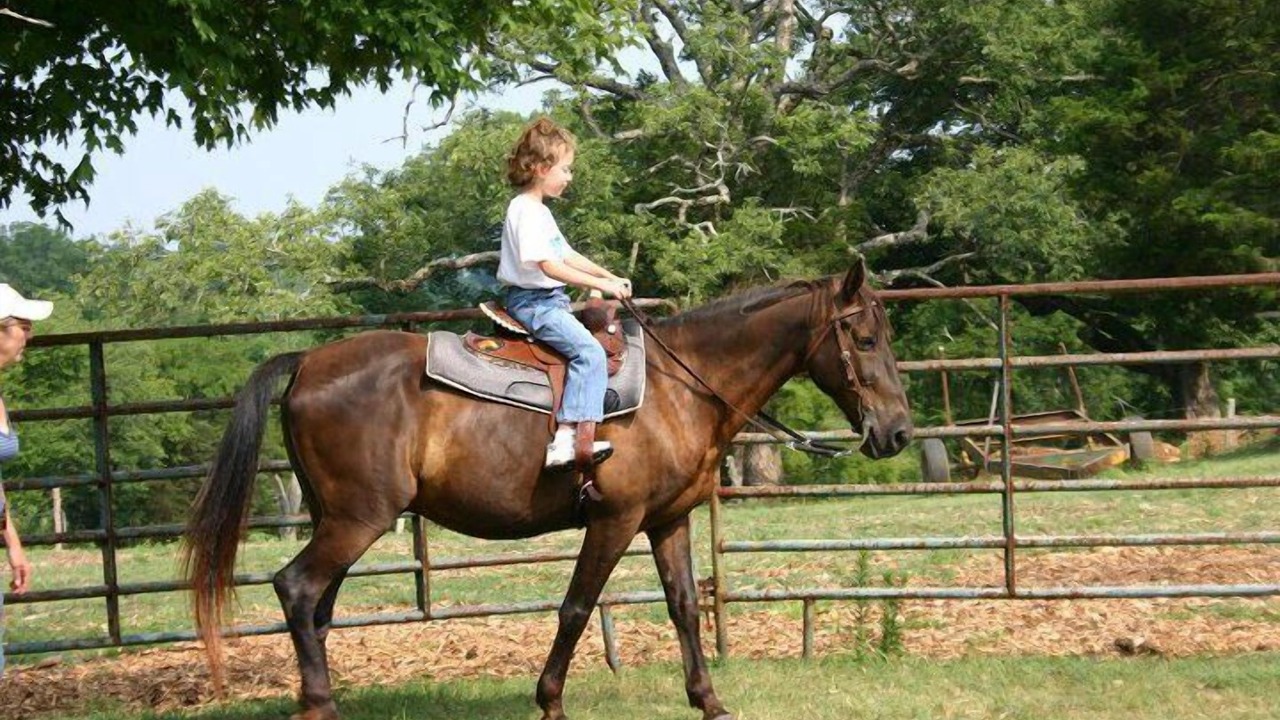 Photo of Others in Mount Juliet