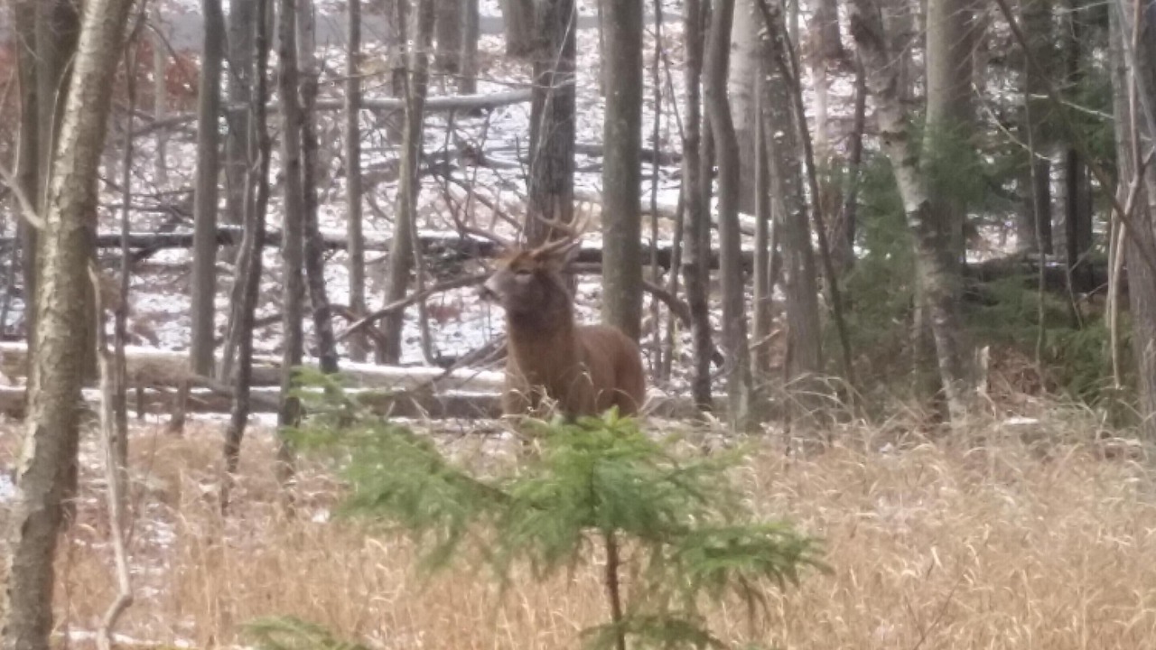 Photo of Others in Gouldsboro