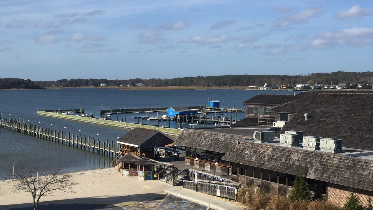 Photo of Others in Dewey Beach