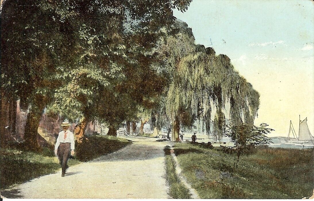 Photo of Others in St. Michaels