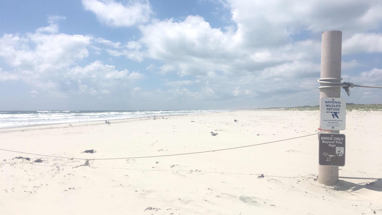 Photo of Others in Diamond Beach