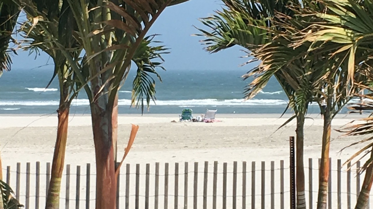 Photo of Others in Diamond Beach