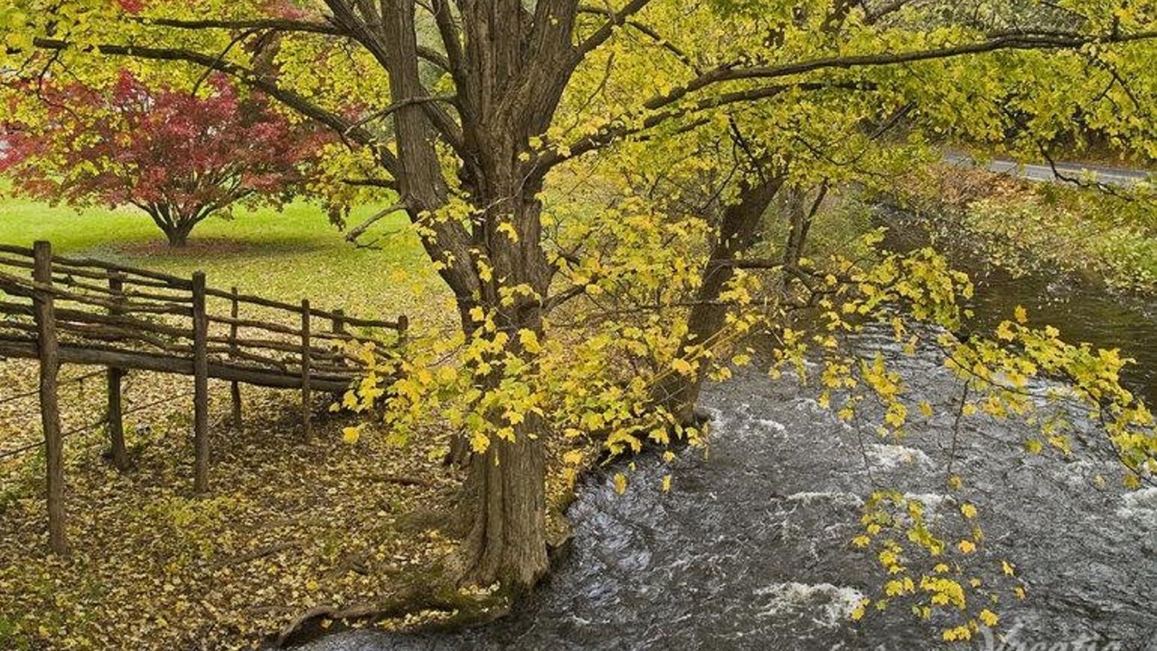 Photo of Outdoor in Shawnee On Delaware