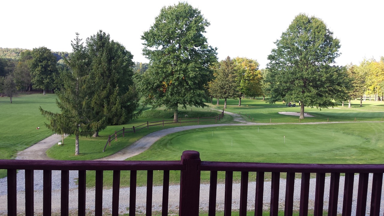 Photo of Outdoor in Cherry Tree