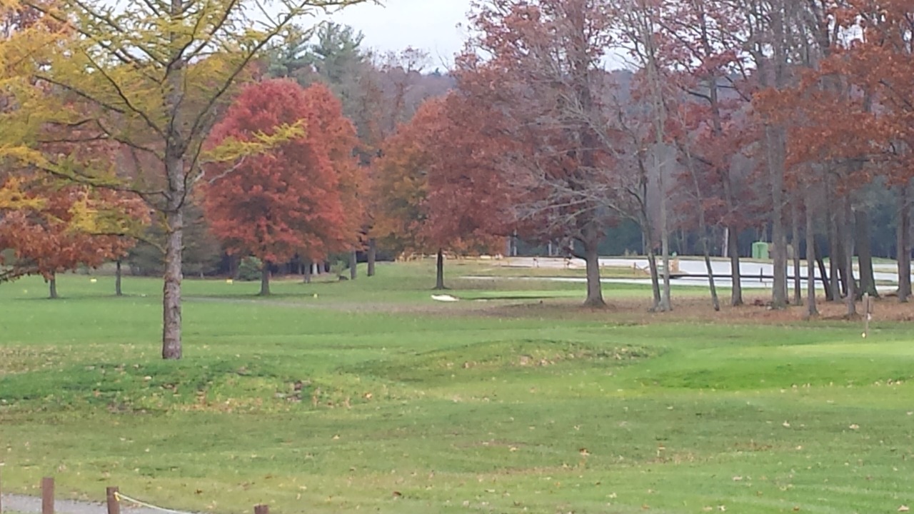Photo of Others in Cherry Tree