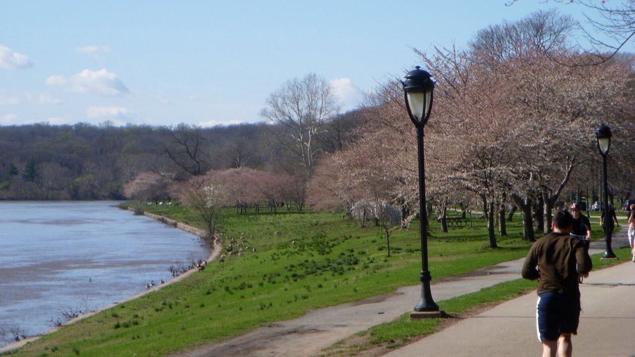 Photo of Others in Haverford