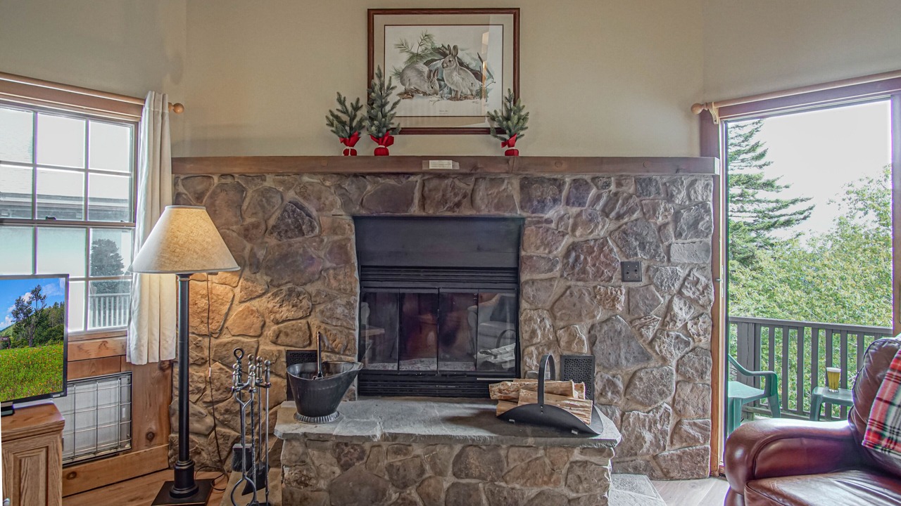 Photo of Livingroom in Snowshoe